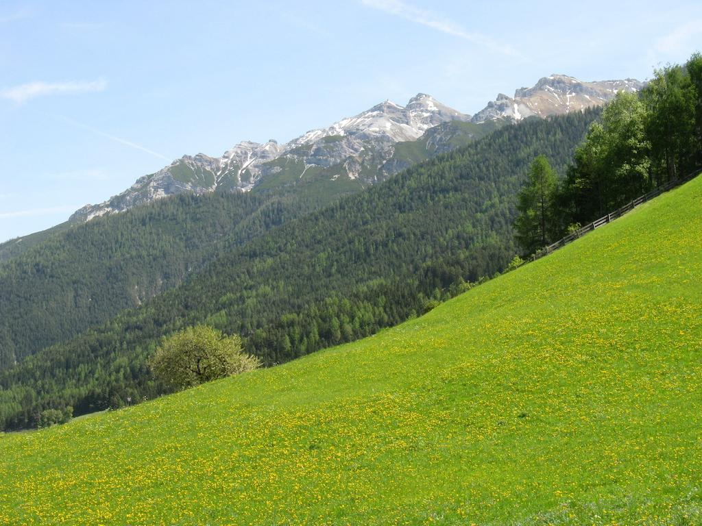 Halder Neustift im Stubaital
