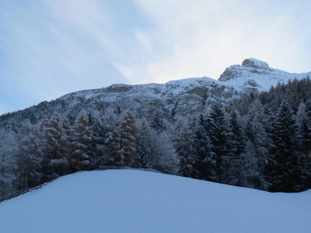 Apartment Halder Neustift im Stubaital